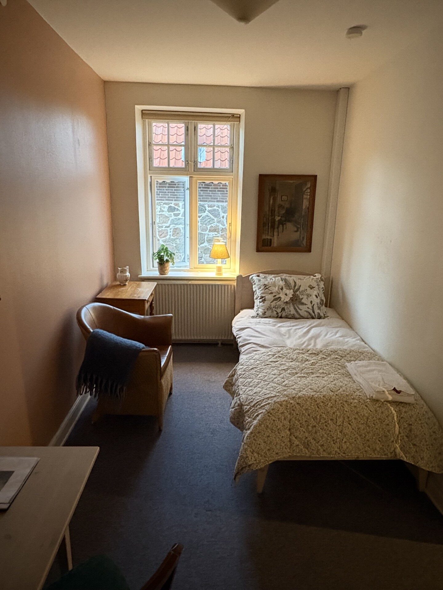 Enkeltværelse med siddeplads ved vinduet på Aamølle